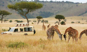 How Camping Safaris Promote Conservation in Tanzania