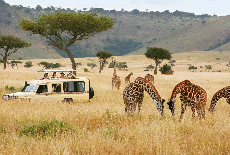How Camping Safaris Promote Conservation in Tanzania