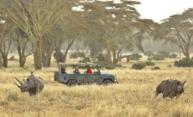 How to Book a Wheelchair-Friendly Safari in Tanzania