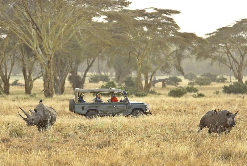 How to Book a Wheelchair-Friendly Safari in Tanzania