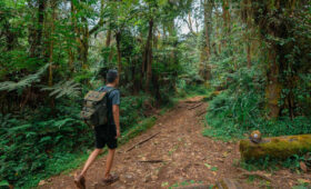 Kilimanjaro nature walks