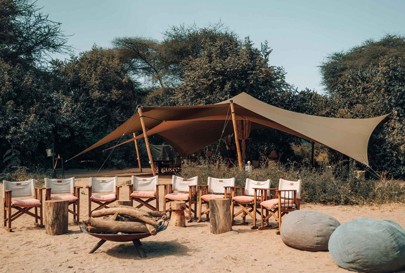 Lake Manyara Camping Safari: Where the Forest Meets the Rift Valley