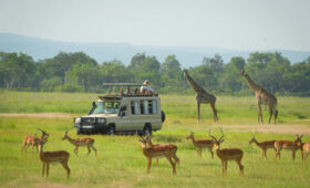 Mikumi National Park Camping: Gateway to the Southern Circuit