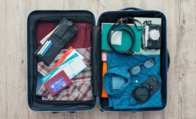 Must-Have Gear for Accessible Safari Travel