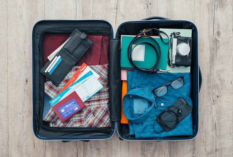 Must-Have Gear for Accessible Safari Travel