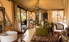 4-Day Tanzania Lodge Safari for Families