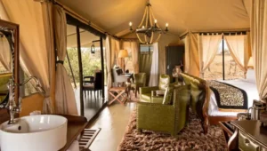 4-Day Tanzania Lodge Safari for Families