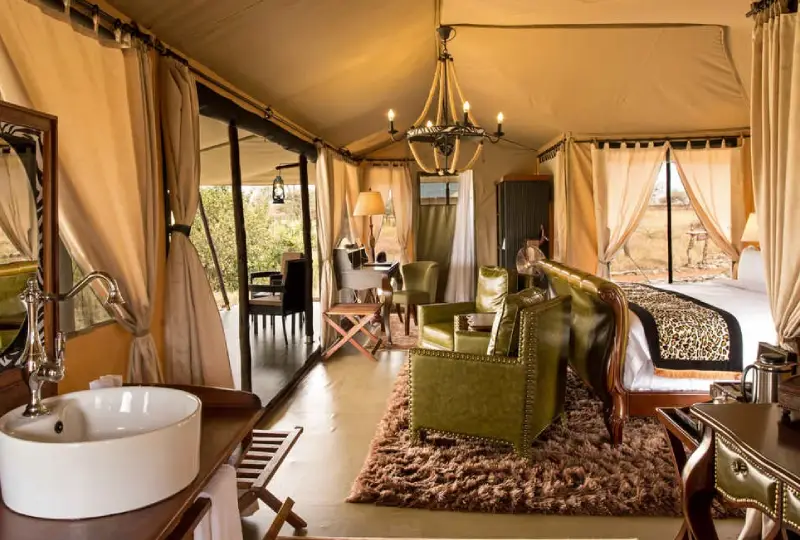 4-Day Tanzania Lodge Safari for Families