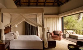 6-Day Northern Circuit Lodge Safari