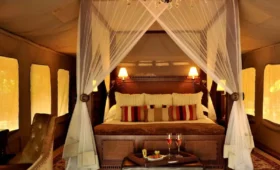 10-Day Tanzania and Kenya Luxury Safari