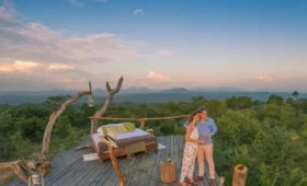 8-Day Tanzania Honeymoon Safari in Luxury Lodges