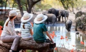 5-Day Tanzania Lodge Safari and Zanzibar Extension