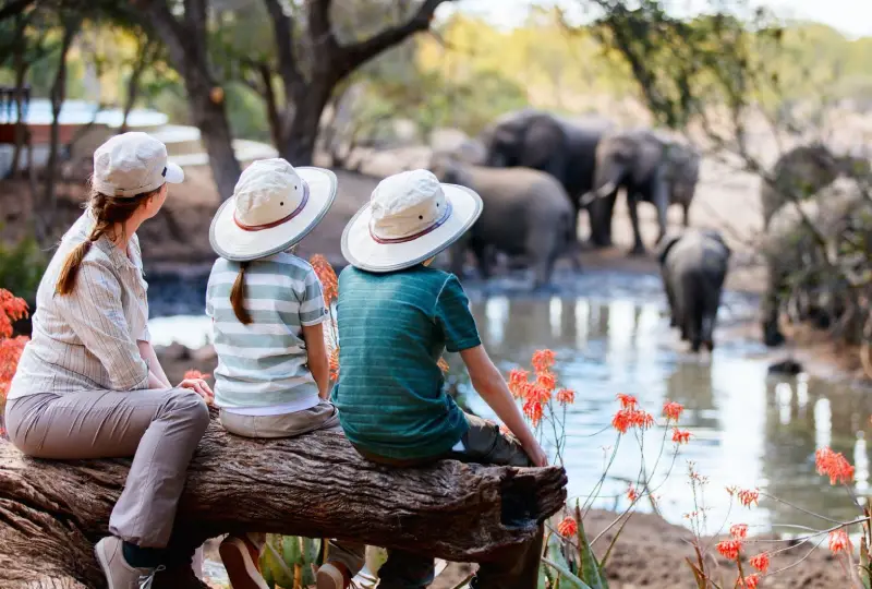 5-Day Tanzania Lodge Safari and Zanzibar Extension