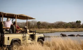 Self-Drive Camping Safaris in Tanzania: A Complete Guide