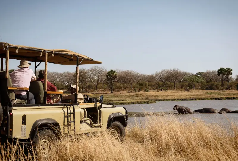 Self-Drive Camping Safaris in Tanzania: A Complete Guide