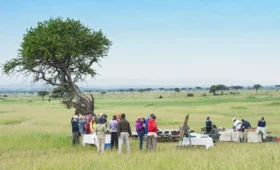 Safety Tips for Camping Safaris in Tanzania’s National Parks
