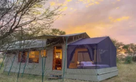 Mobile Camping Safaris: Moving with the Great Migration