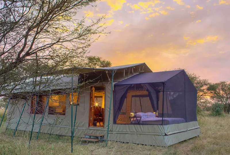 Mobile Camping Safaris: Moving with the Great Migration