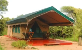 Top 10 Campsites for Tanzania Overland Safari Travelers