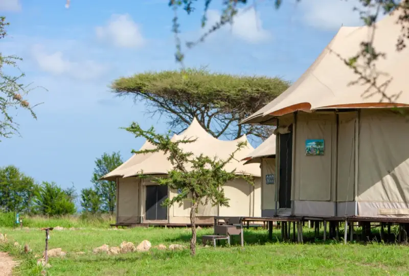 Why Tanzania Camping Safaris Are Perfect for Adventure Seekers