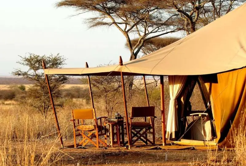 Group Camping Safaris in Tanzania: What to Expect