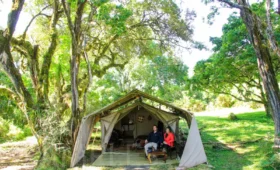 Short Camping Safaris from Arusha: Perfect Weekend Escapes