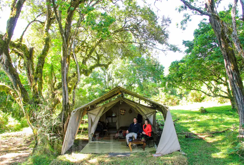 Short Camping Safaris from Arusha: Perfect Weekend Escapes