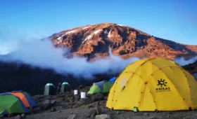 How to Combine a Tanzania Camping Safari with a Kilimanjaro Climb