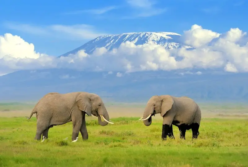 10-Day Tanzania and Kenya Safari and Cultural Visit