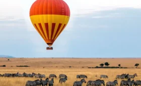 8-Day Tanzania and Kenya Safari and Balloon Ride
