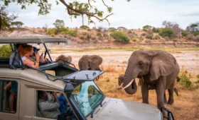 10-Day Tanzania & Kenya Safari for Photographers