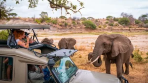 10-Day Tanzania & Kenya Safari for Photographers