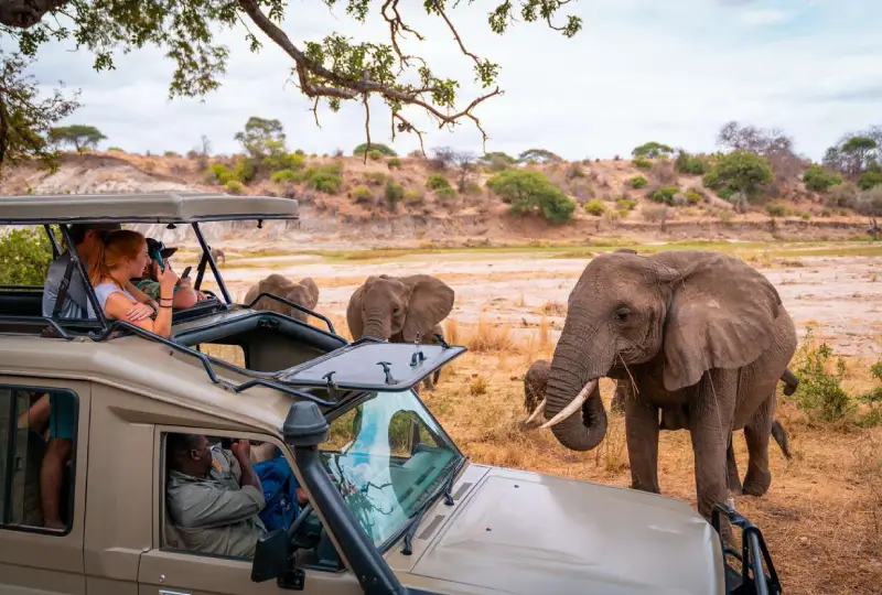 10-Day Tanzania & Kenya Safari for Photographers