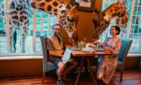 10-Day Tanzania & Kenya Honeymoon Adventure