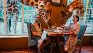 10-Day Tanzania & Kenya Honeymoon Adventure
