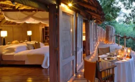 10-Day Luxury Tanzania Lodge Safari Adventure