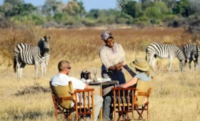9-Day Tanzania Honeymoon Safari and Migration