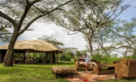 7-Day Tanzania Honeymoon Safari for Newlyweds