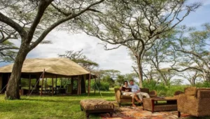 7-Day Tanzania Honeymoon Safari for Newlyweds