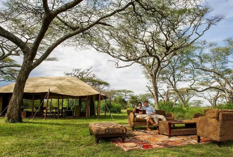 7-Day Tanzania Honeymoon Safari for Newlyweds