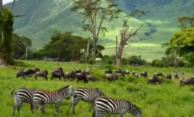 5-Day Great Migration Safari and Ngorongoro Crater