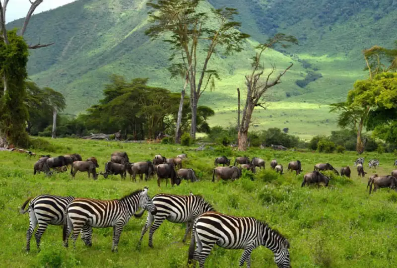 5-Day Great Migration Safari and Ngorongoro Crater