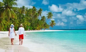 10-Day Serengeti Wildebeest Migration and Zanzibar Beach Holiday
