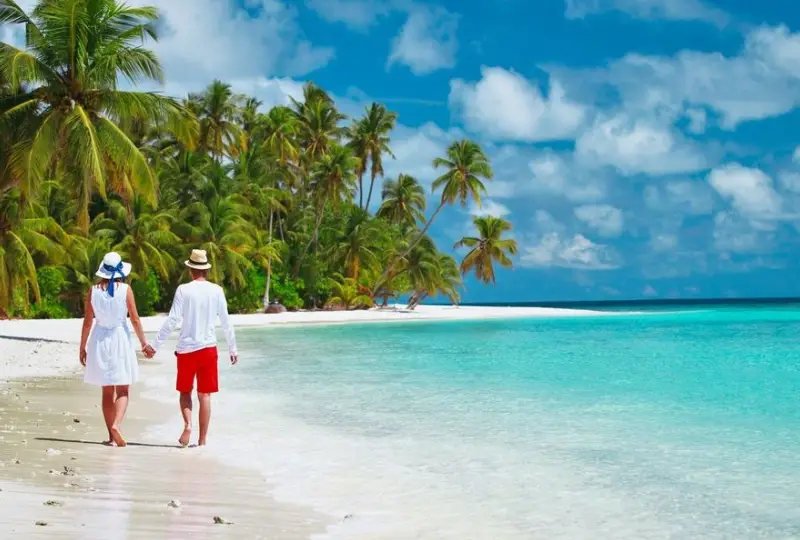 10-Day Serengeti Wildebeest Migration and Zanzibar Beach Holiday