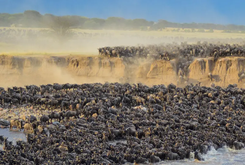 10-Day Great Migration Safari (July to October)