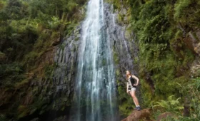 1-Day Materuni Waterfalls & Coffee Tour