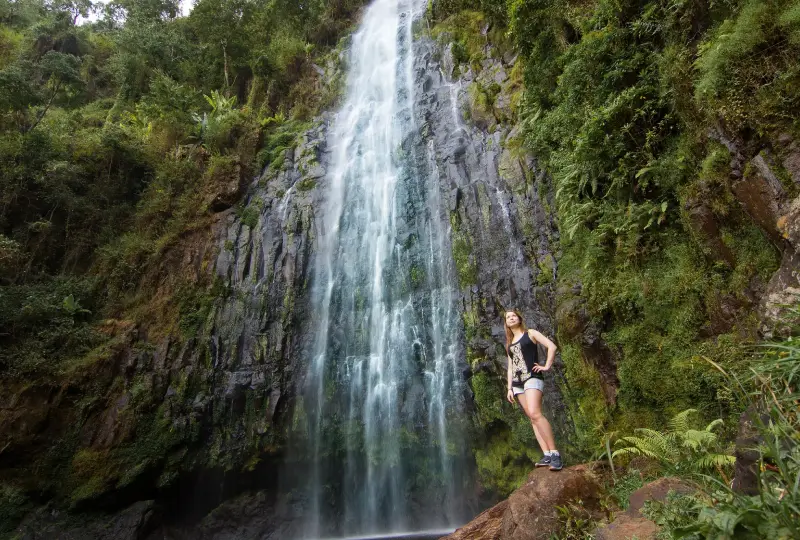 1-Day Materuni Waterfalls & Coffee Tour