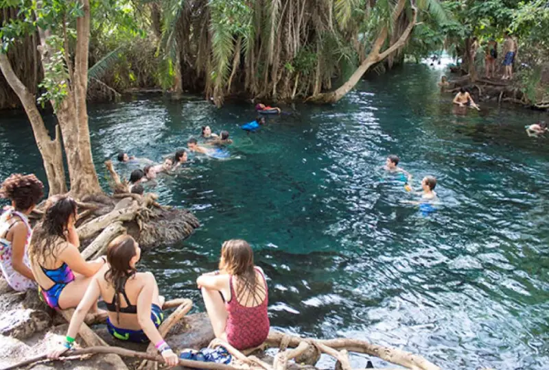 1-Day Chemka Hot Springs Tour from Moshi