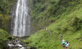 1-Day Kilimanjaro Base Hike and Waterfalls Tour
