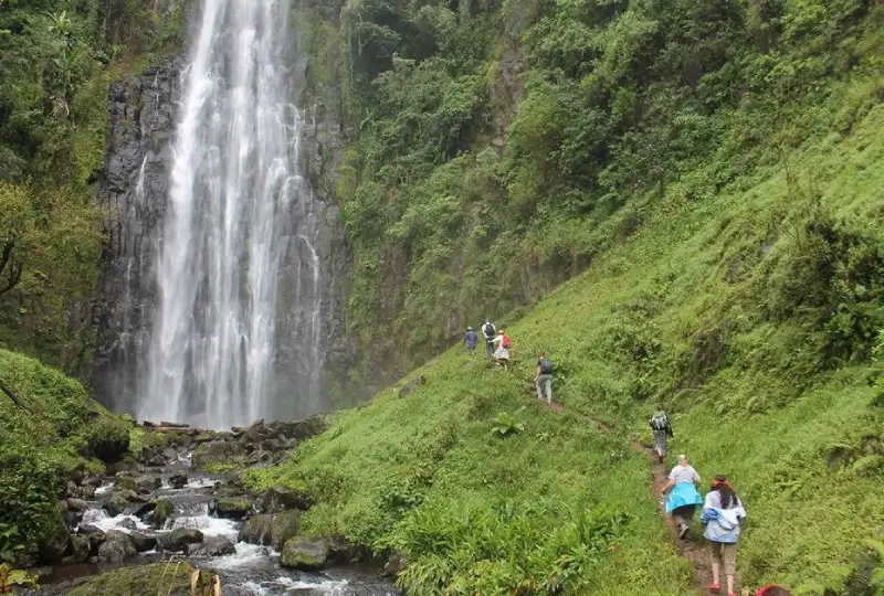 1-Day Kilimanjaro Base Hike and Waterfalls Tour